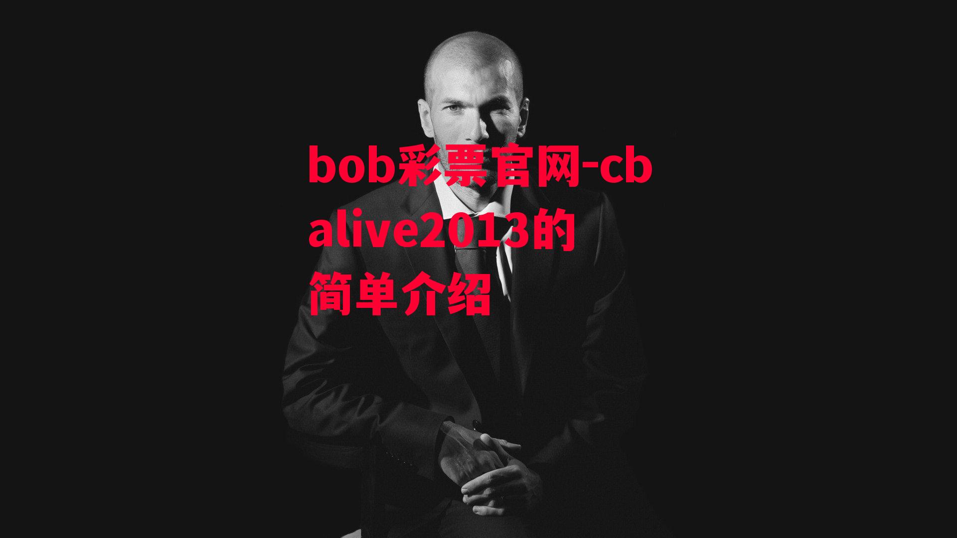 bob彩票官网-cbalive2013的简单介绍